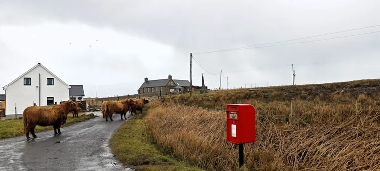 Scotland’s visa push targets workforce and rural gaps