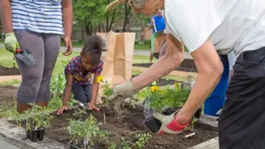 Shrewsbury community garden seeks leaders by September 5
