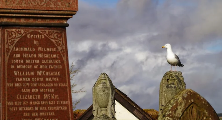 Tonypandy memorial plans: free drop-ins on 4 September