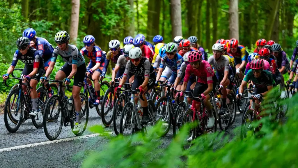 A large group of professional female cyclists racing closely together on a forest road.