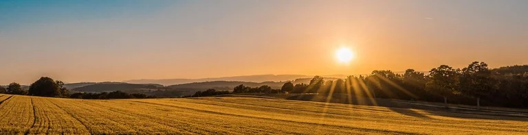 UK heatwave builds to 36°C — when the hottest day hits