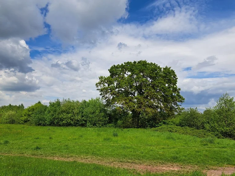 UK Heatwave Peaks Today: When Temperatures Finally Break