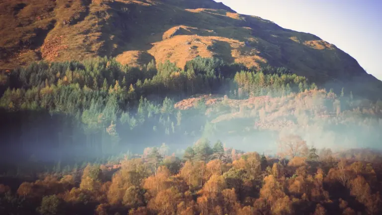 Aerial view of a misty, forested Scottish mountain landscape at Loch Eil.