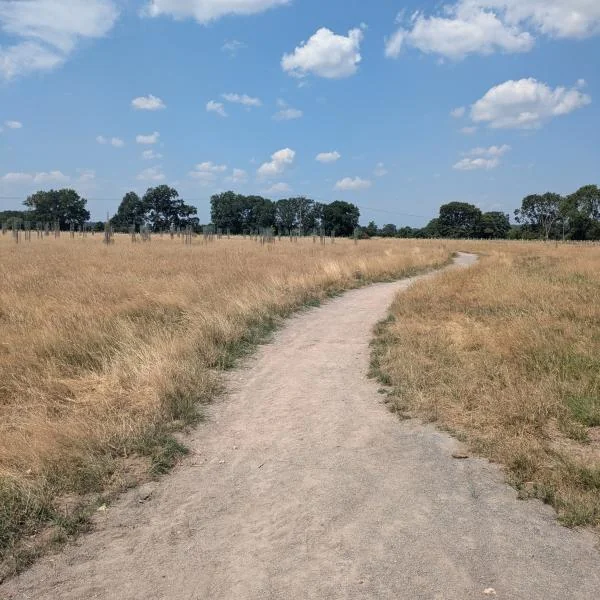 Wokingham’s free Covid woodland commemoration on 27 August
