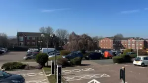 A busy outdoor car parking lot filled with various cars on a sunny day.