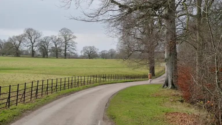 A quiet winding country road surrounded by green fields and trees in Britain.