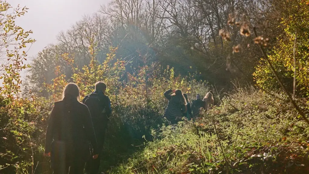 Autumn Footprints Walking Festival: Free in Amber Valley