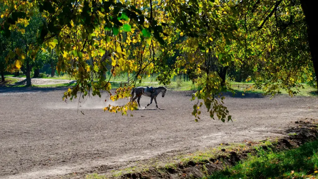 Chester Racecourse hosts autumn festival opener on 11 September