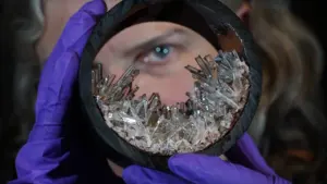 Evolving Earth opens free permanent display in Edinburgh