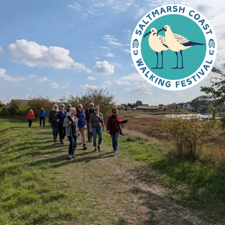 Explore the Saltmarsh Coast: 42 Free Guided Walks Return to Maldon