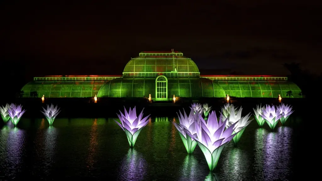 The Palm House conservatory at Kew Gardens illuminated with floating lights at night.