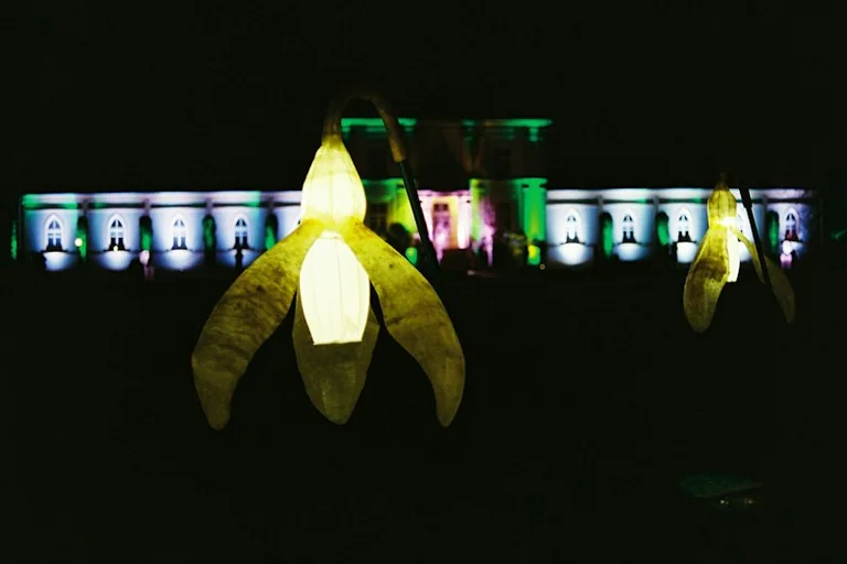 Halloween at Kew 2026: New Light Trail Dates and Ticket Prices: what residents need to know