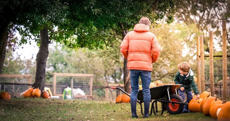 Lancashire pumpkin picking: 9 days out and a £5 option
