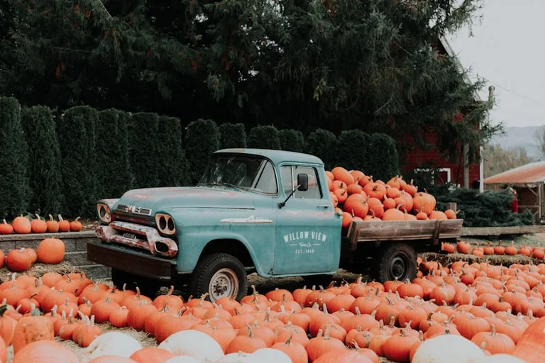 Lancashire pumpkin picking: 9 days out and a £5 option