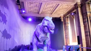 Thinktank Birmingham turns 25 with £5 family weekend
