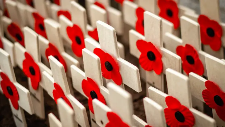 Brentwood Poppy Appeal starts 22 October at local shops